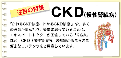 注目の特集：CKD（慢性腎臓病）