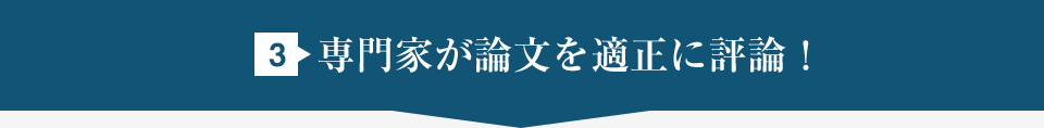 3.専門家が論文を適正に評論