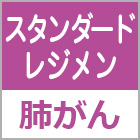 化療スタンダードレジメン「肺がん」