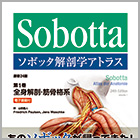 ソボッタ解剖学アトラス 原書24版 第1巻 全身解剖・筋骨格系―電子書籍付