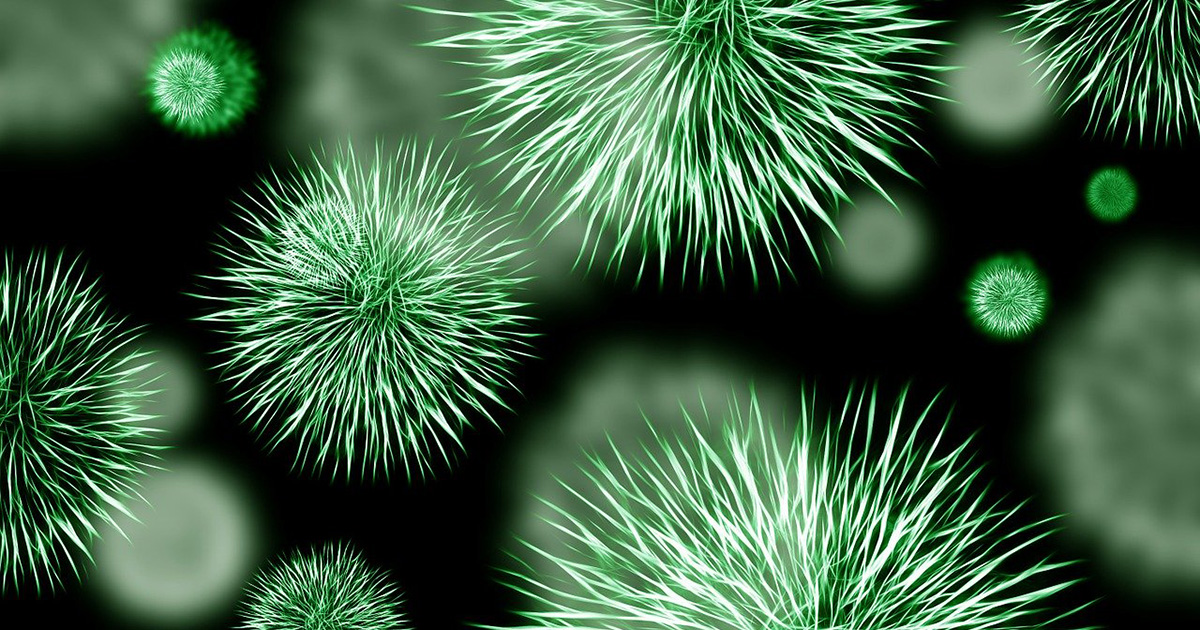 アトピー性皮膚炎患者の全がんリスクは?