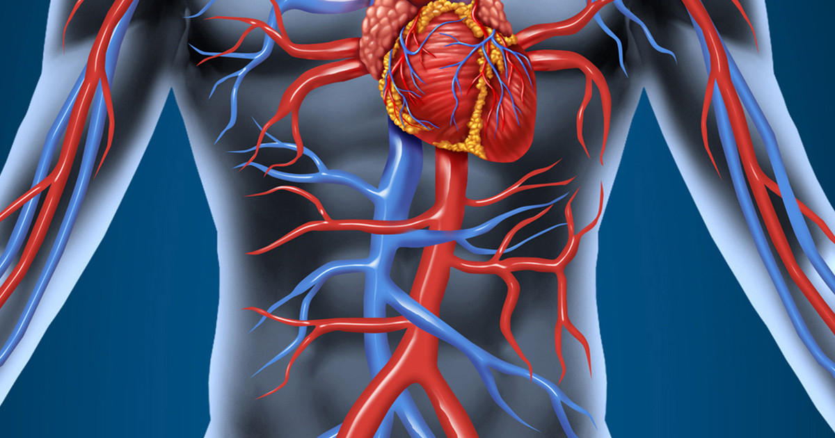 アテローム性動脈硬化症の2次予防、P2Y12阻害薬単独療法は