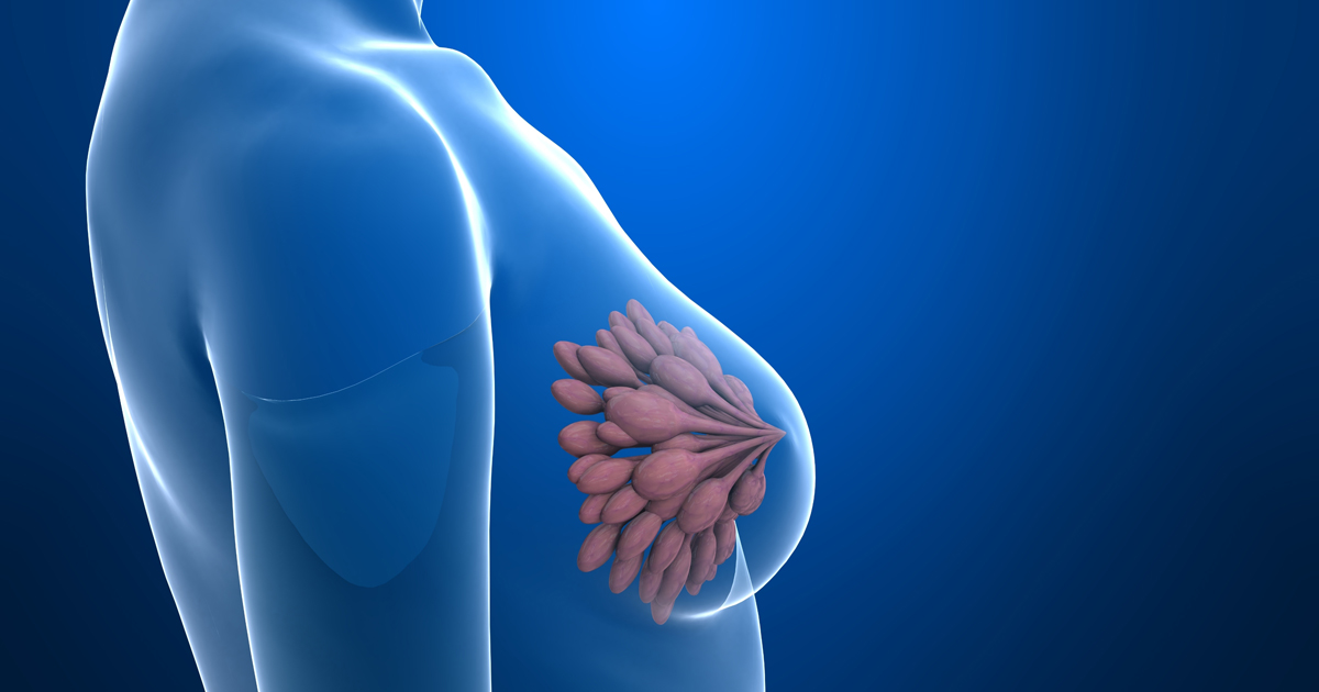 閉経後ホルモン補充療法、乳がんへの長期影響は?/JAMA