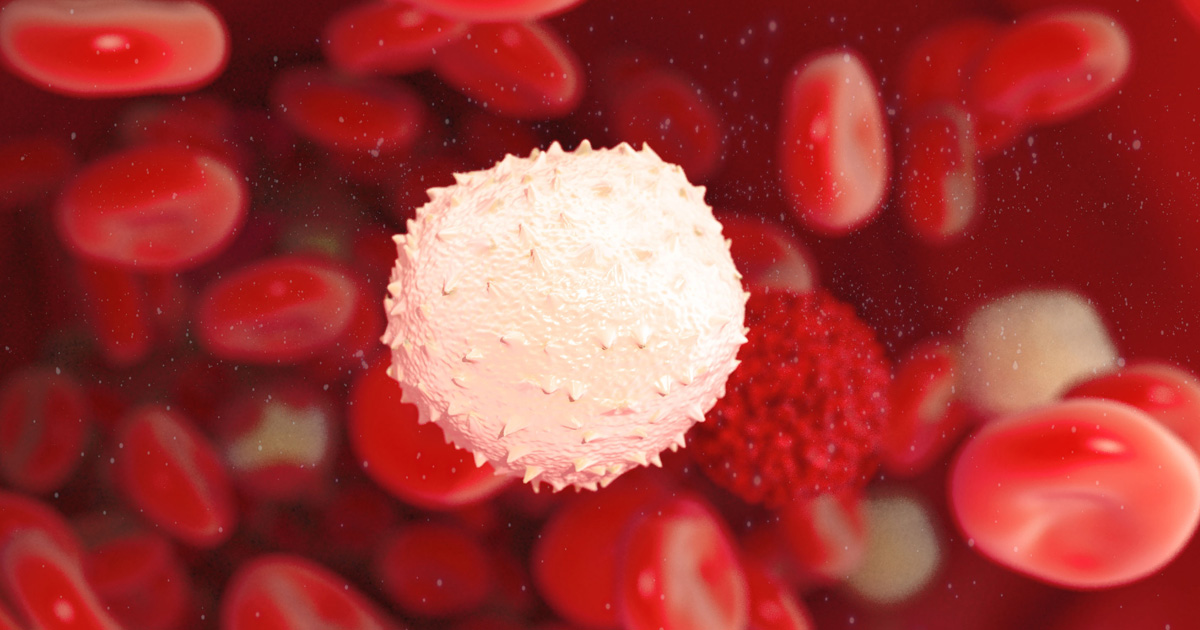 pirtobrutinib（LOXO-305）、既治療のB細胞性悪性腫瘍に有望