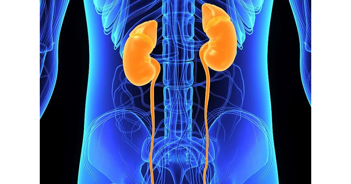 CKDの原疾患によって高尿酸血症の転帰への影響が異なる―艮陵CKD研究