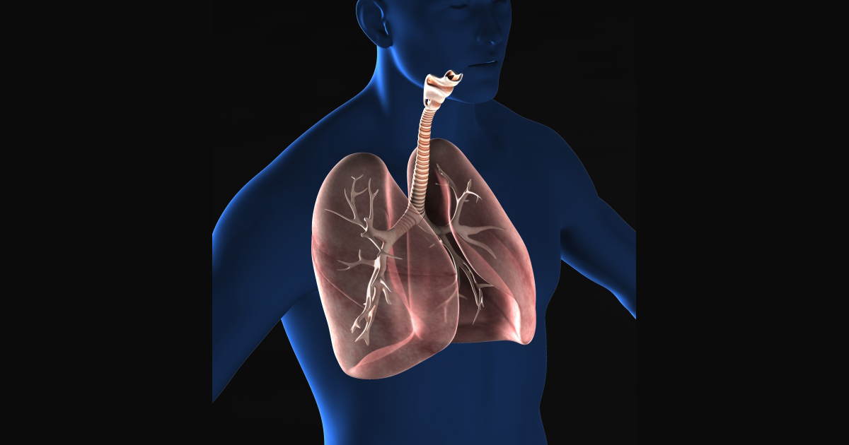 NSCLC1次治療、ペムブロリズマブ単剤の5年追跡結果(KEYNOTE-024)/JCO