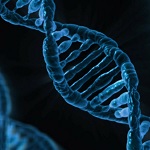 イルミナ、包括的がんゲノムプロファイリングテストを申請