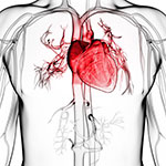 心血管疾患リスク予測式は、がん生存者に有用か／Lancet
