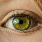 糖尿病網膜症、アフリベルセプトの早期投与で長期の視力改善は？／JAMA