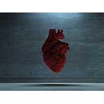 米国心臓病学会と米国心臓協会が大動脈疾患の診断・管理のためのガイドラインを発行