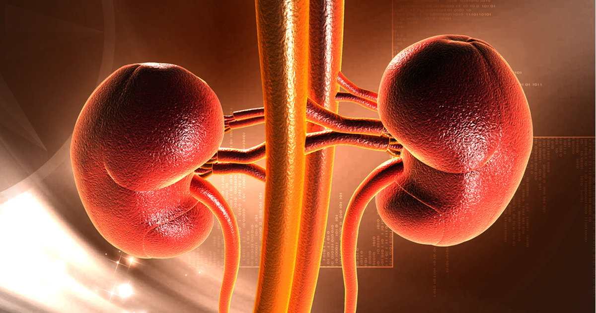 inaxaplin、APOL1バリアント保有患者で蛋白尿を抑制/NEJM