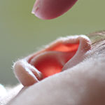 先天性難聴児、遺伝子治療で聴力回復／Lancet