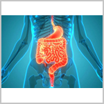 腸内での酪酸産生菌の増加は感染症リスクの低下と関連