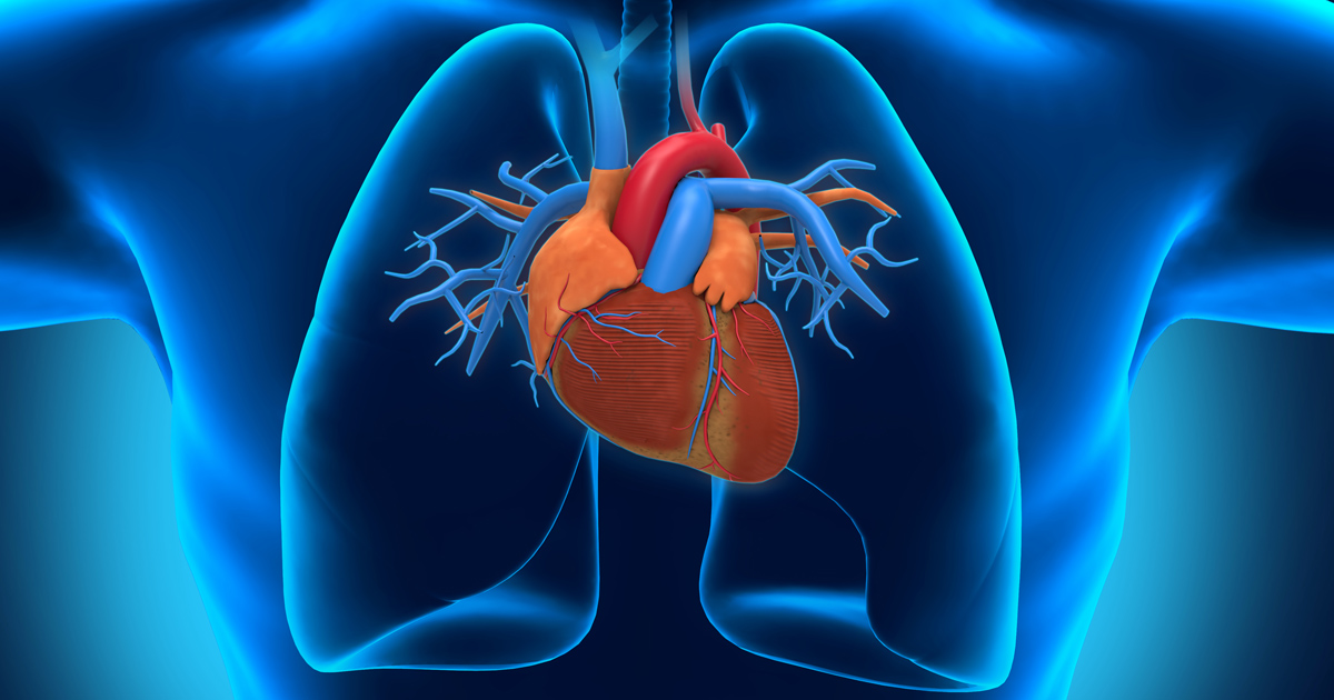 心筋線維化を伴う無症候性重症AS、早期介入の効果は？／JAMA