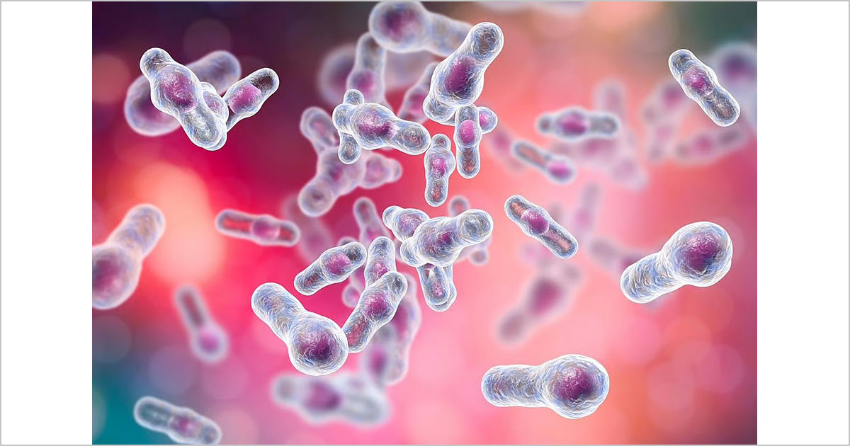 糞便移植、C. difficile感染症の一次治療になり得る効果を示す