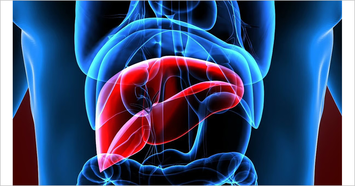 AIモデルが臓器ドナーの死亡タイミングを予測