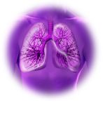 末期copdに対する肺移植 片肺よりも両肺移植で生存期間が延長 医師向け医療ニュースはケアネット