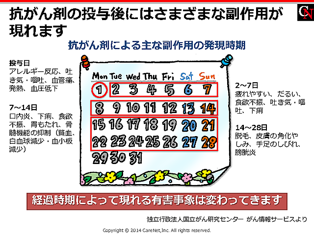 抗がん剤の副作用の発現時期のイメージ