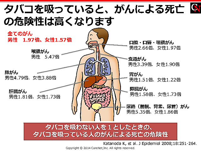 喫煙によるがん死亡リスクの増加のイメージ