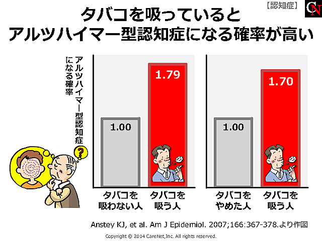 喫煙によるアルツハイマー病リスクのイメージ