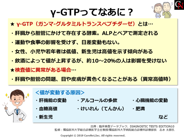 γ-GTPってなあに？のイメージ