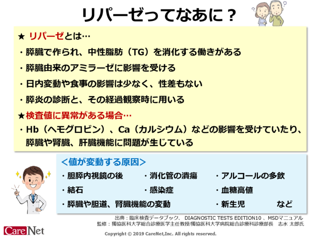 リパーゼってなあに？のイメージ