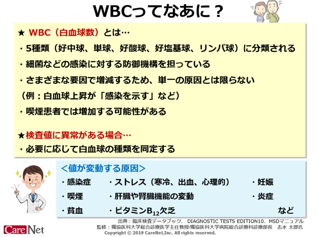 WBCってなあに？のイメージ