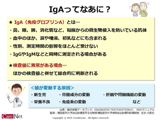 IgAってなあに？のイメージ