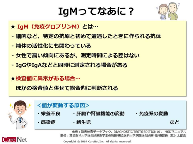 IgMってなあに？のイメージ