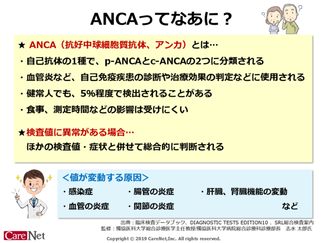 ANCAってなあに？のイメージ