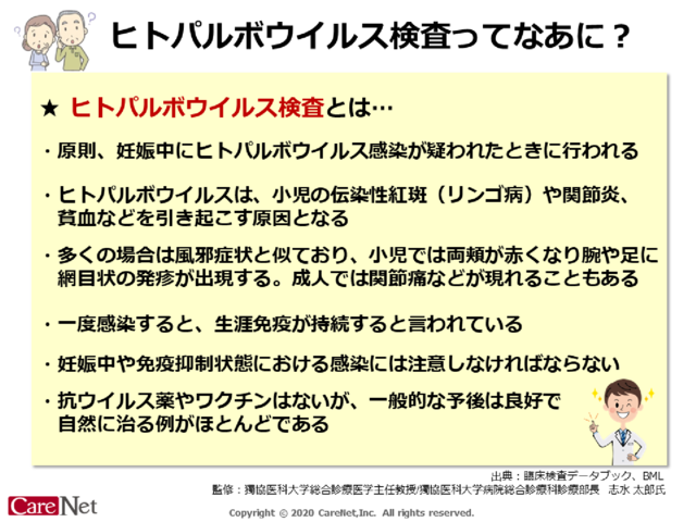 ヒトパルボウイルス検査ってなあに？のイメージ