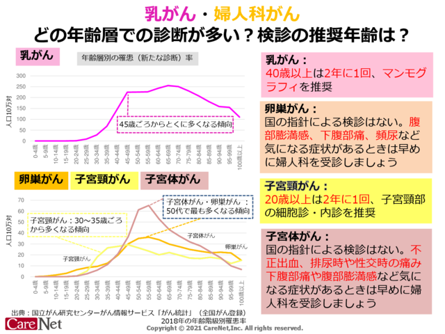 乳がんと婦人科がん、診断の多い年齢層と検診内容のイメージ