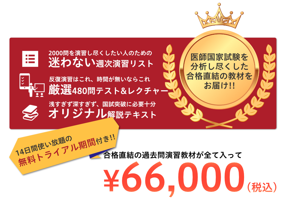 迷わない演習リスト、厳選480問分のテスト&レクチャー、コア知識・関連問題などを豊富に掲載し解説は国試突破に十分な無理のない深さのオリジナルテキストの全てが入って66,000円