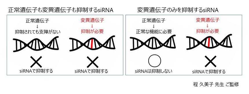 図4.siRNA医薬品の2つのアプローチ