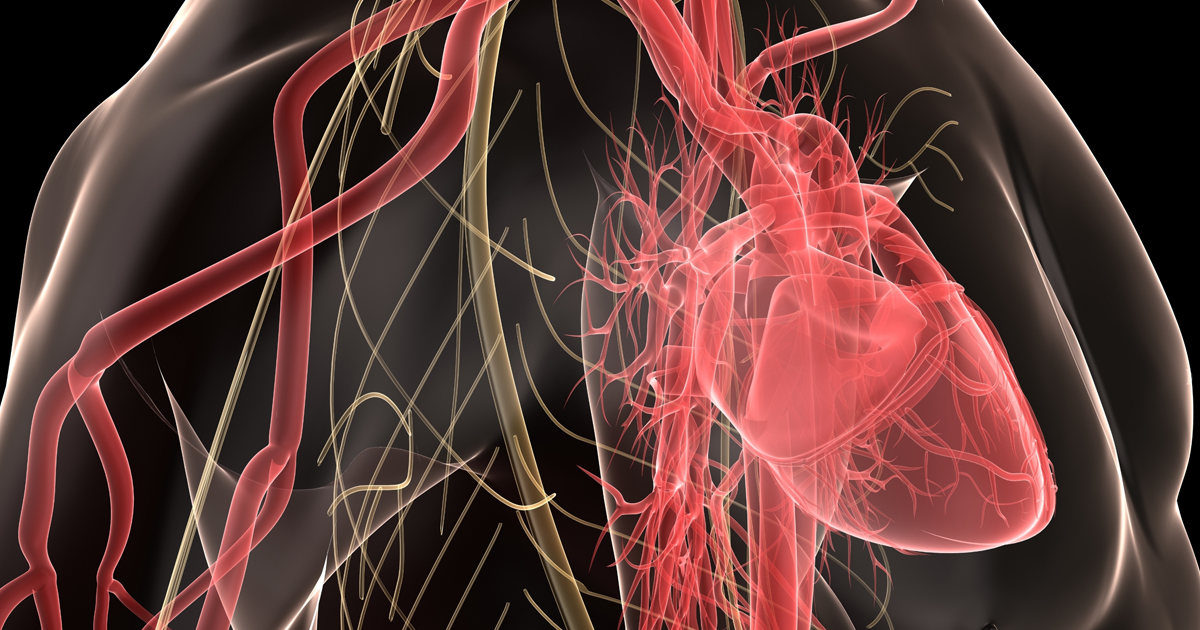 心房細動の生涯リスク、直近10年で増加／BMJ